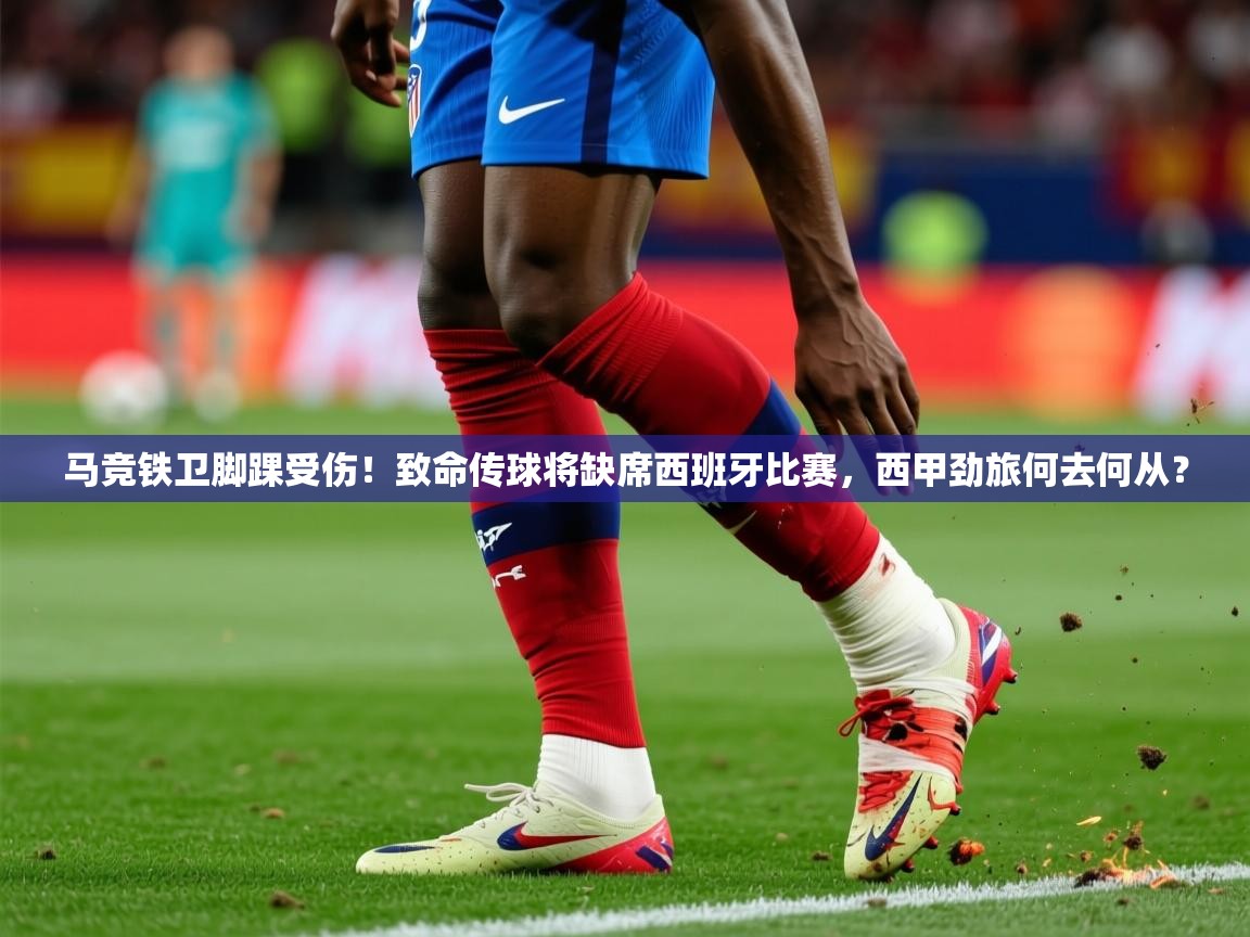 2025爱游戏体育官网app马竞铁卫脚踝受伤!致命传球将缺席西班牙比赛,西甲劲旅何去何从? 第3张