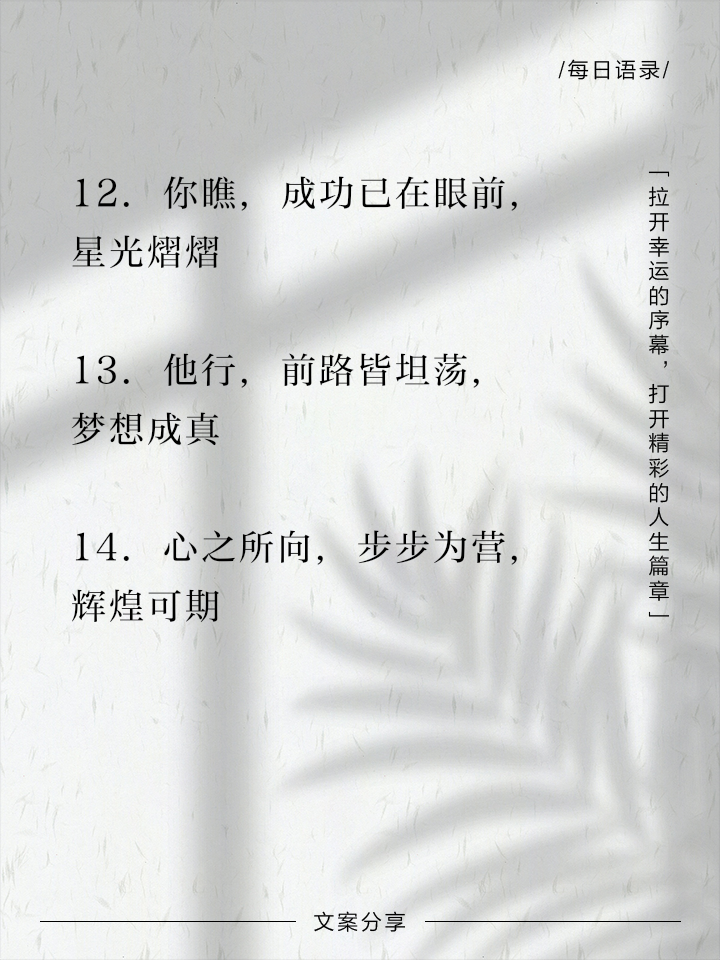 关于梦想成真：女足比赛中的成功之路的信息